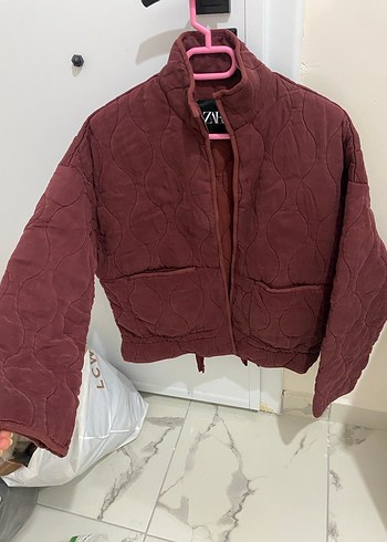 Zara kapitone bordo mont