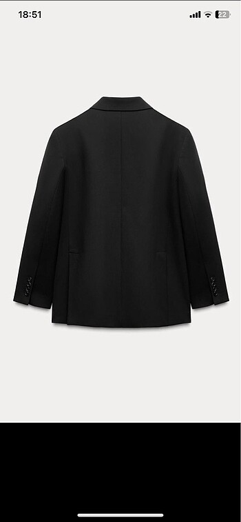 Zara Zara Zw collection oversize blazer