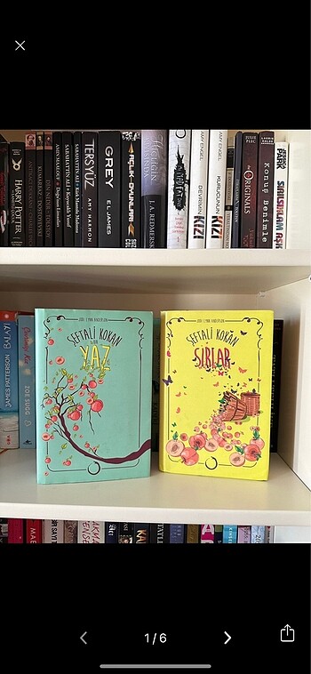 şeftali kokan bir yaz şeftali kokan sırlar kitap roman edebiyat 