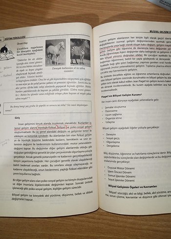 Eğitim Psikolojisi Pegem Binnur Yeşilyaprak - Görsel 5