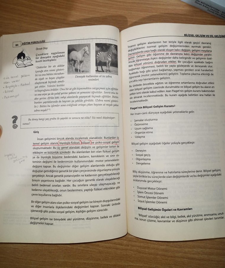 Eğitim Psikolojisi Pegem Binnur Yeşilyaprak - Görsel 5