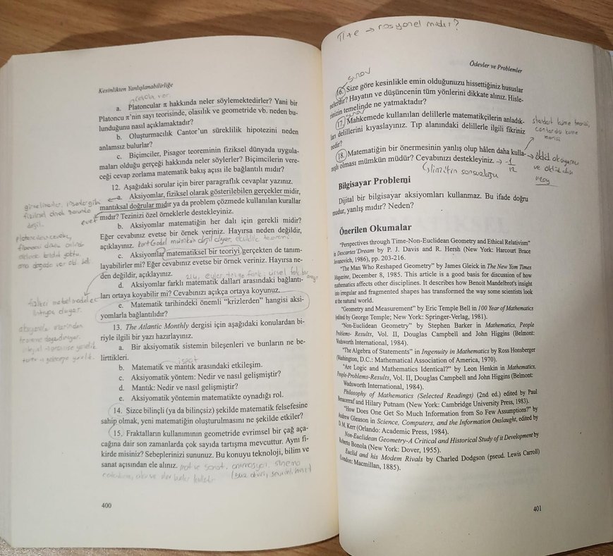 Tüm Yönleriyle Matematiksel Deneyim Kitabı - Görsel 5