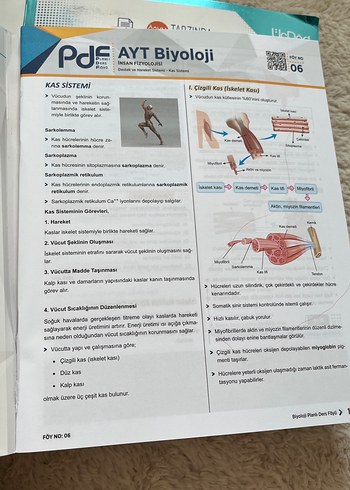 Beden AYT Biyoloji Planlı Ders Föyü PDF Kitap