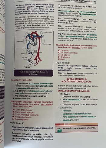 Tüm TUS Soruları Anatomi - Görsel 3