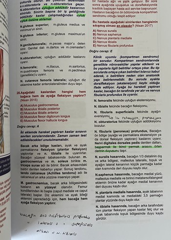 Tüm TUS Soruları Anatomi - Görsel 5