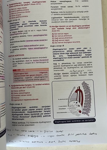 Tüm TUS Soruları Anatomi - Görsel 6