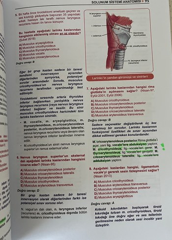 Tüm TUS Soruları Anatomi - Görsel 4