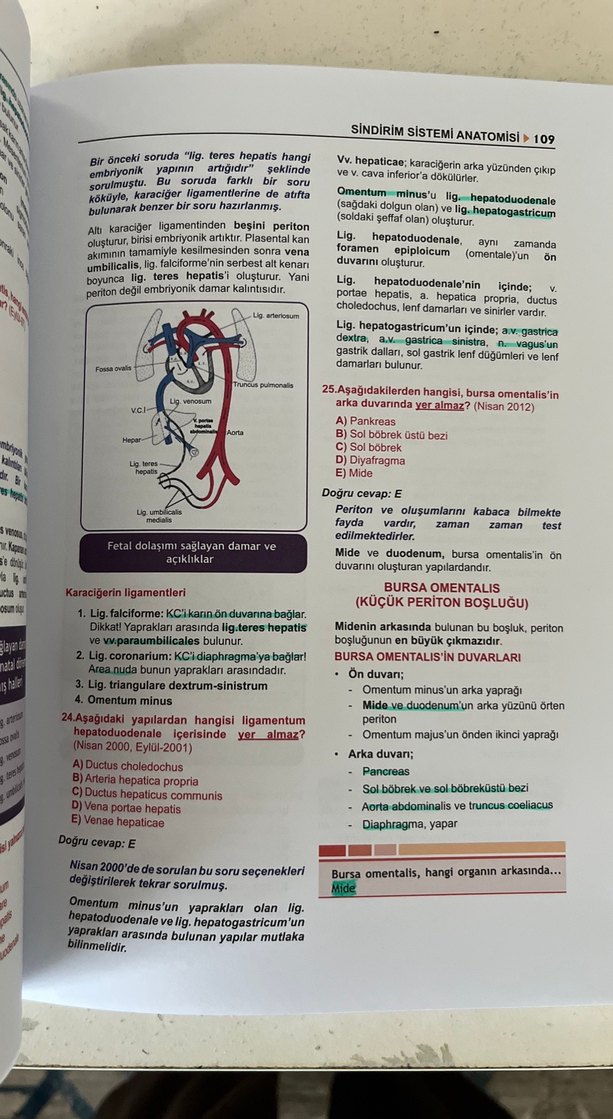 Tüm TUS Soruları Anatomi - Görsel 3