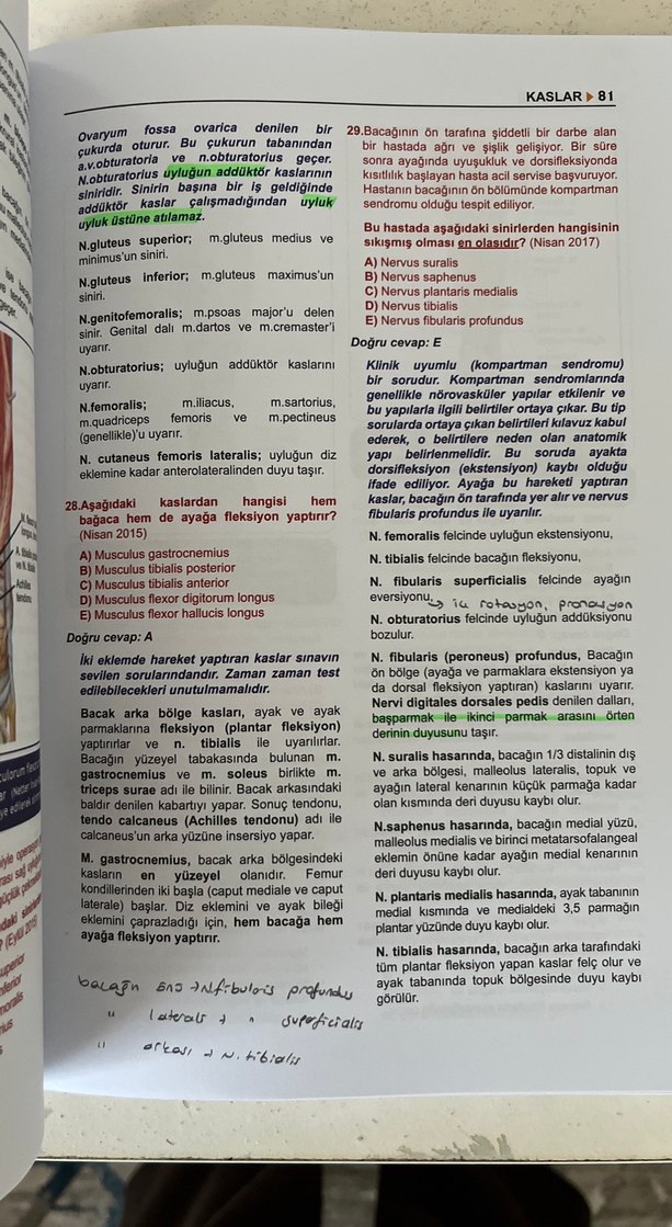 Tüm TUS Soruları Anatomi - Görsel 5