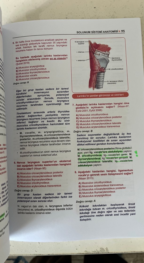Tüm TUS Soruları Anatomi - Görsel 4