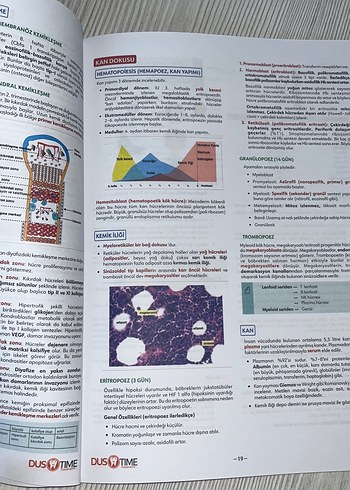 Beden FastWay Histoloji & Embriyoloji Hızlı Tekrar Notu