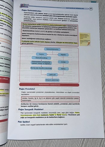 Beden Restoratif Diş Tedavisi Sınav Kitabı 2024