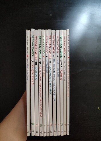 Beden stefan zweig okuma kitaplari