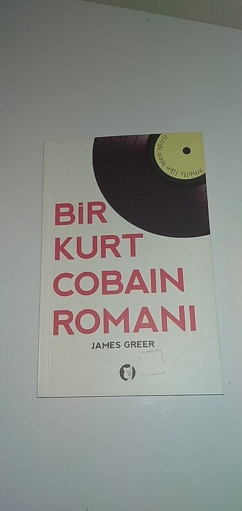 Bir Kurt Cobain Romanı