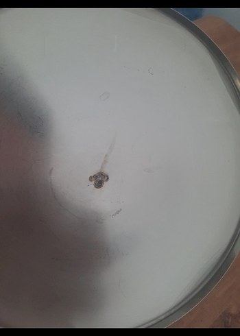 ÇELİK TENCERE 18/10 cr.ni - Görsel 7