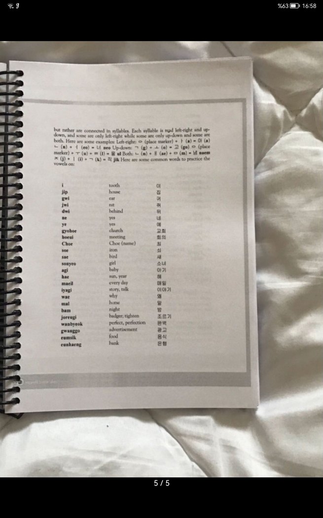 Practical Korean - Görsel 5