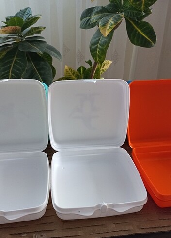 Beden TUPPERWARE