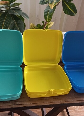 Beden çeşitli Renk TUPPERWARE
