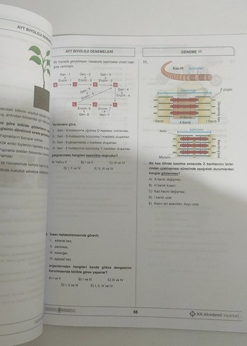 AYT Biyoloji 25 Deneme Video Çözümlü - Görsel 2