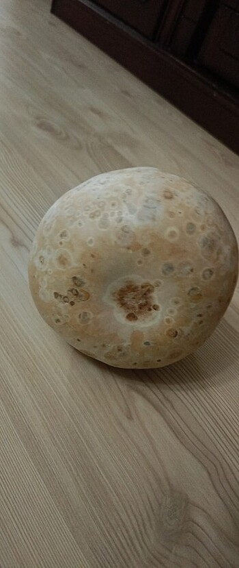 Şu kabağı - Görsel 5