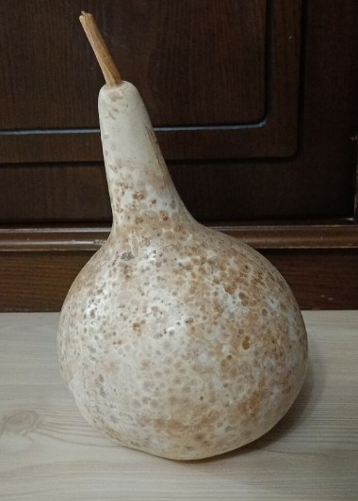 Şu kabağı - Görsel 2