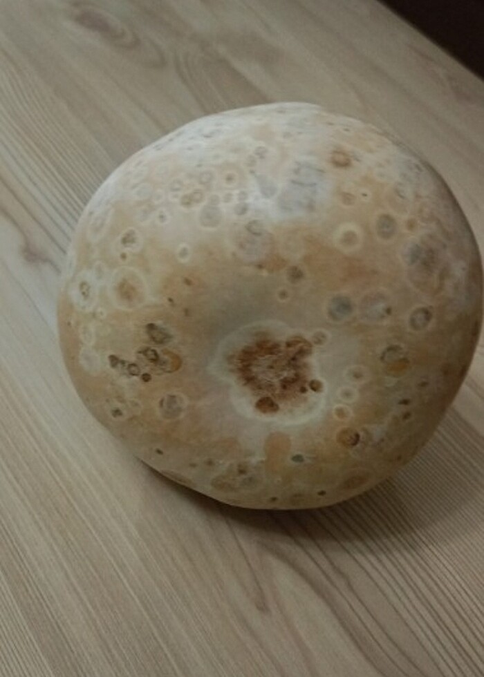 Şu kabağı - Görsel 5