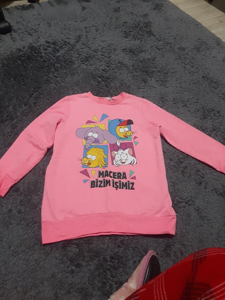 Kız Çocuk Pembe Baskılı Sweatshirt - Görsel 2
