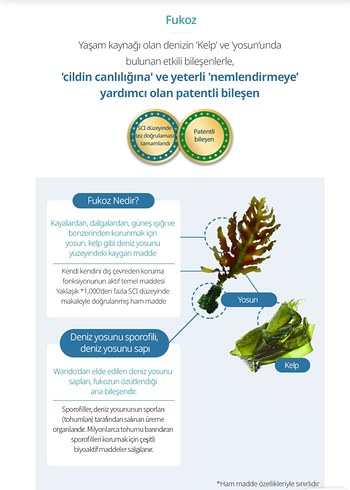 Atomy aydinlastiri  ve Sıkılaştırıcı Maske - Görsel 6