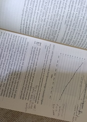 ÖĞRENME GÜÇLÜĞÜ ve ÖZEL YETENEK - Görsel 4