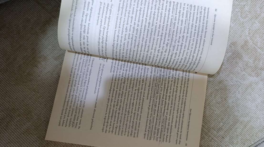 ÖĞRENME GÜÇLÜĞÜ ve ÖZEL YETENEK - Görsel 3