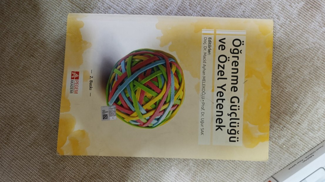 ÖĞRENME GÜÇLÜĞÜ ve ÖZEL YETENEK - Görsel 2