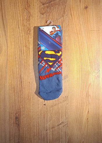 Walt Disney World 23