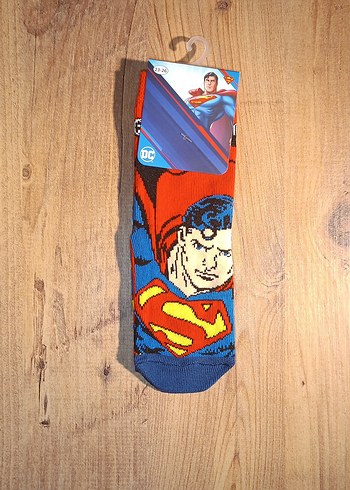 Walt Disney World 23