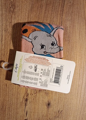 Walt Disney World 27