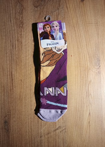 Walt Disney World 27