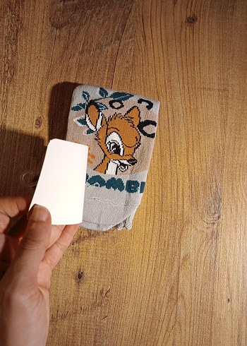 Walt Disney World 27