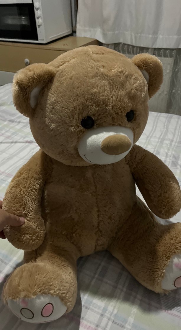 Pastel Kahverengi Peluş Oyuncak Ayı - Görsel 5