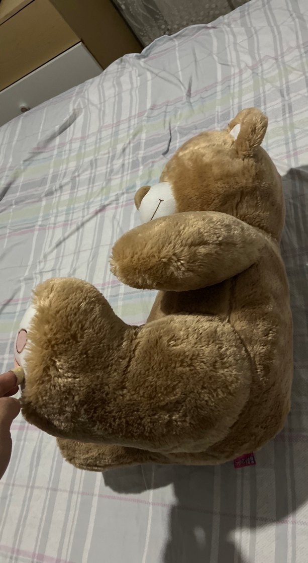 Pastel Kahverengi Peluş Oyuncak Ayı - Görsel 3