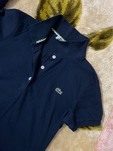 Lacoste Polo yaka tişört