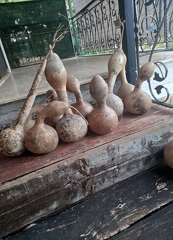 Su kabagı