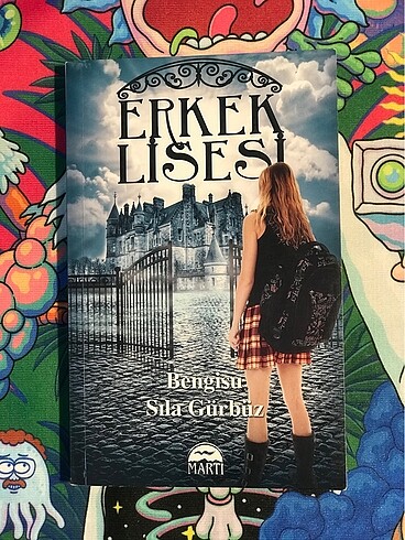 Erkek Lisesi
