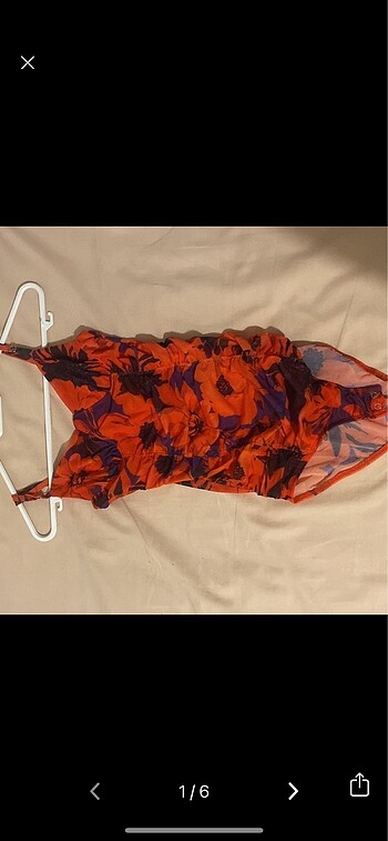 Stradivarius Body