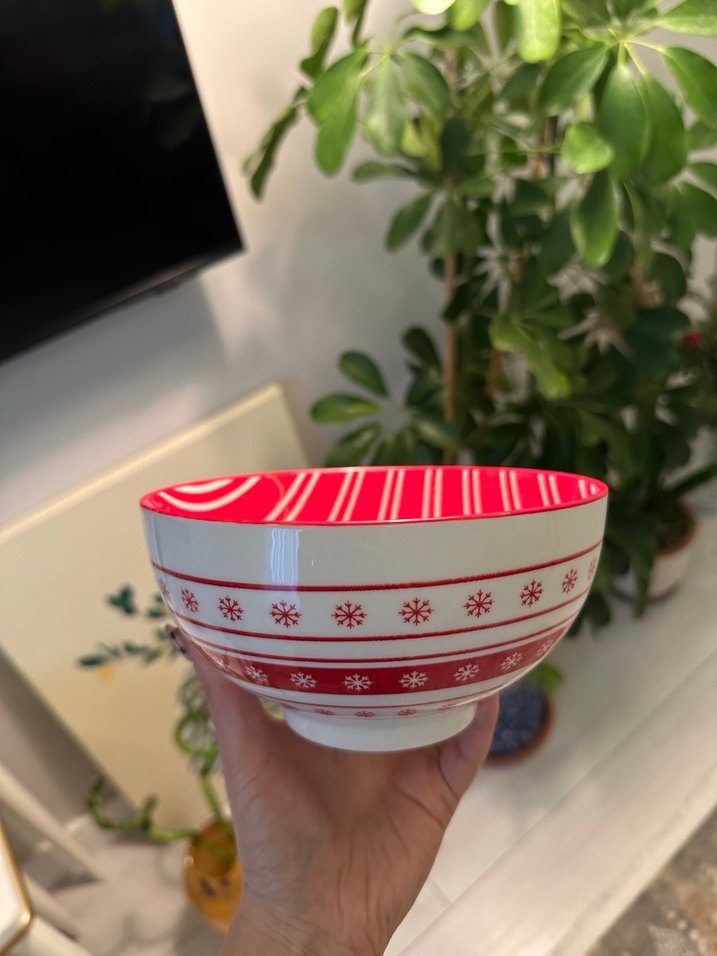 Kırmızı Desenli Seramik Kase - Görsel 4