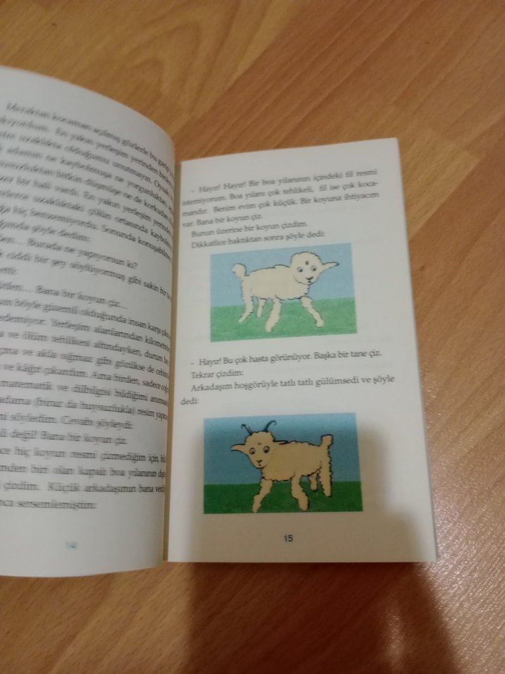 Küçük Prens - Antoine de Saint-Exupéry - Görsel 5