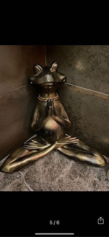 Meditasyon yapan kurbağa bibloları(teki)