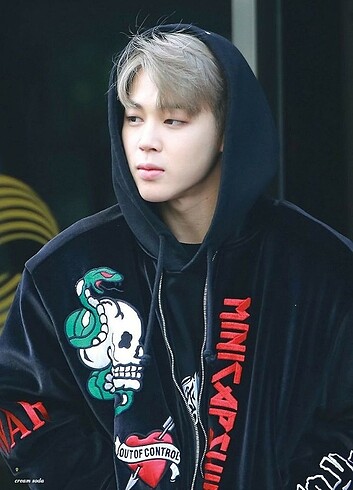 Zara Jimin Ceket