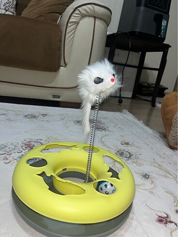 Kedi oyuncağı