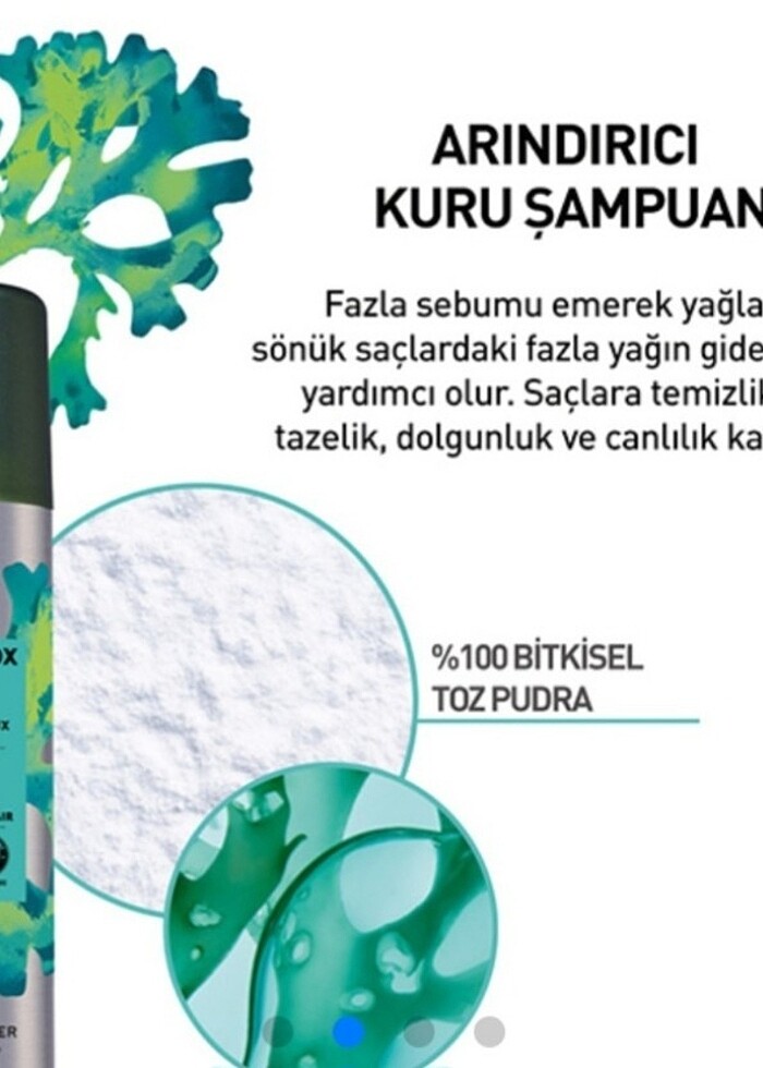 ARİNDİRİCİ DETOKS ETKİLİ KURU SAMPUAN - Görsel 2