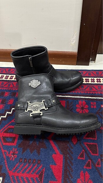 Harley davidson erkek bot