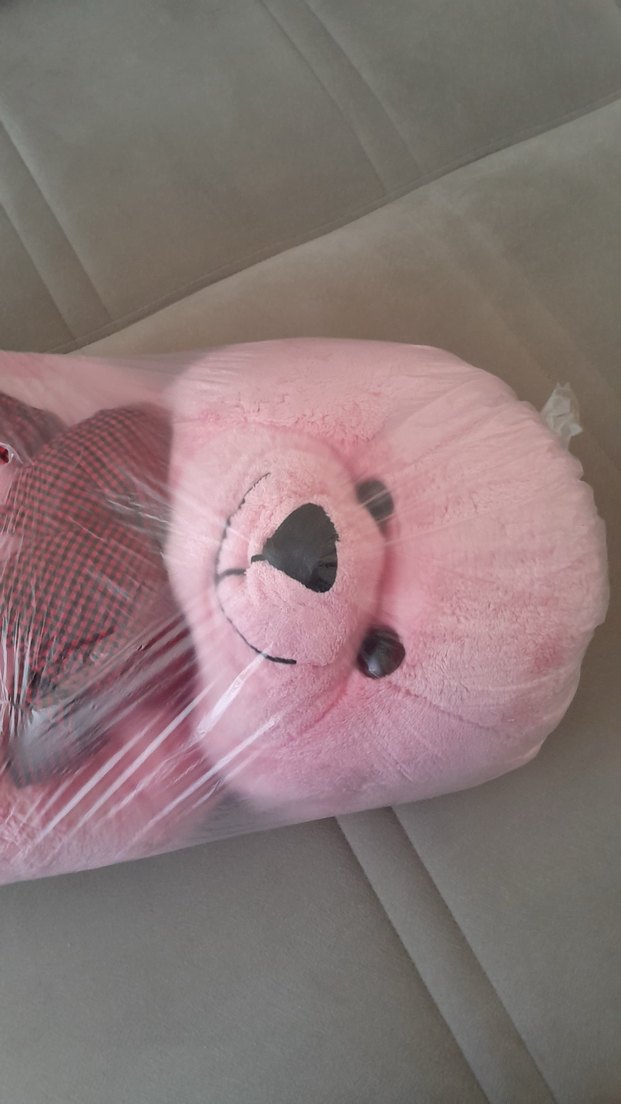 Pembe Peluş Ayıcık Oyuncak - Görsel 2